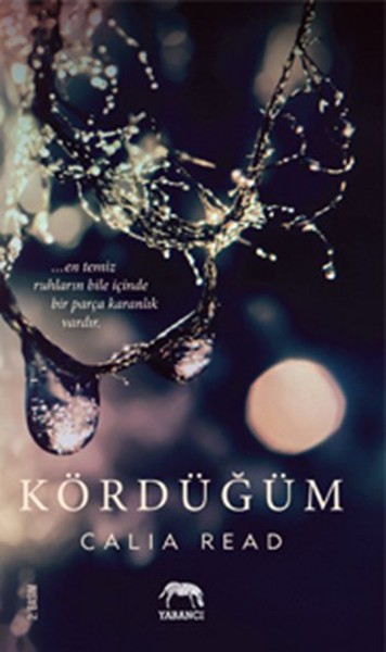 Herkes bir yazar 2. baskı pdf indir